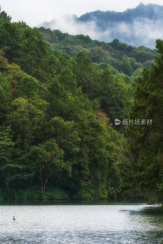 泰国Mae Hong Son省最美的水库pangung的风景。